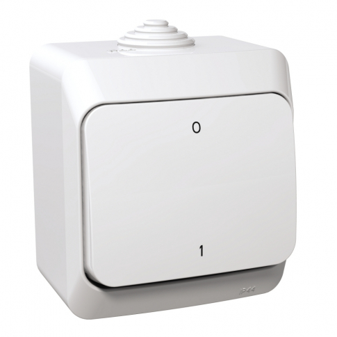 SCHNEIDER ELECTRIC - ŁĄCZNIK 2-BIEGUNOWY BIAŁY CEDAR PLUS - WDE000520