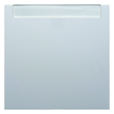 HAGER - KLAWISZ Z POLEM OPISOWYM BIAŁY POŁYSK B.KWADRAT - 5316268999