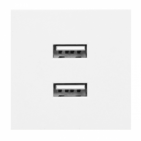 ORNO - NOEN USB x 2, podwójny port modułowy 45x45mm z ładowarką USB, 2,1A 5V DC, biały - OR-GM-9010/W/USBX2