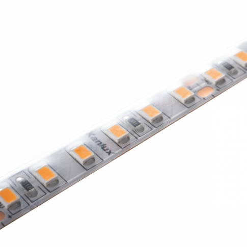 KANLUX - Taśma LED L120 16W/M 24 IP65-WW - 33314