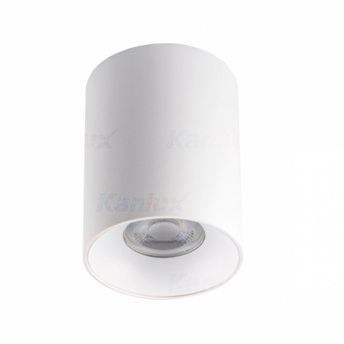 KANLUX - Oprawa sufitowa punktowa RITI GU10 W/W - 27569