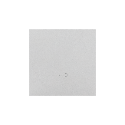 KONTAKT SIMON - Klawisz pojedynczy z piktogramem „klucz” do łączników/przycisków; Aluminium mat Simon 55 - TKWK1/143