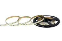 POLTRONIC - TAŚMA LED 12V 48W 300SMD5050 4800LM CW 10MM IP20 LS5300 - PA004072