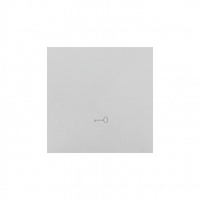 KONTAKT SIMON - Klawisz pojedynczy z piktogramem „klucz” do łączników/przycisków; Aluminium mat Simon 55 - TKWK1/143