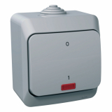 SCHNEIDER ELECTRIC - ŁĄCZNIK 2-BIEGUNOWY Z PODŚWIETLENIEM SZARY CEDAR PLUS - WDE000621