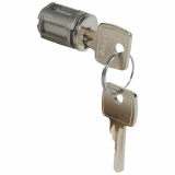 LEGRAND - WKŁADKA ZAMKA Z KLUCZEM 2433A. - 020294