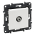LEGRAND - GNIAZDO TV TYP F KOŃCOWE TYPU GWIAZDA 1.5DB BIAŁY NILOE STEP - 863175