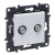 LEGRAND - GNIAZDO PODWÓJNE 2XTV TYP F KOŃCOWE TYPU GWIAZDA 1.5DB BIAŁY NILOE STEP - 863176
