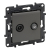LEGRAND - GNIAZDO TV-SAT KOŃCOWE TYPU GWIAZDA 2 PRZEWODY 1.5DB STALOWY NILOE STEP - 863483
