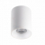 KANLUX - Oprawa sufitowa punktowa RITI GU10 W/W - 27569